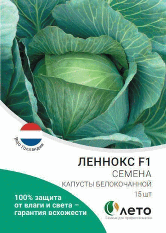 Описание и особенности выращивания кормовой капусты