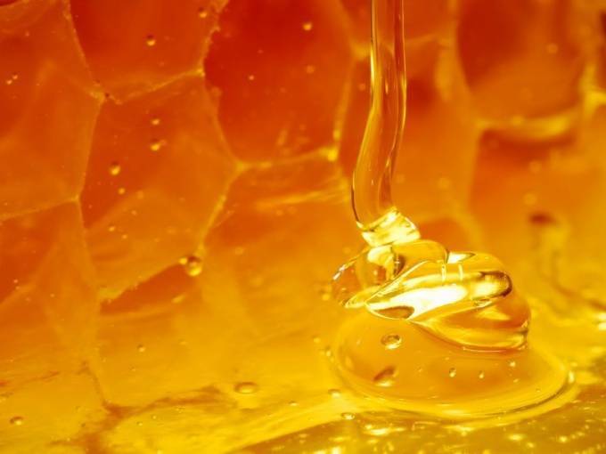 Мед — состав, содержание сахара, калорийность. научные данные о пользе