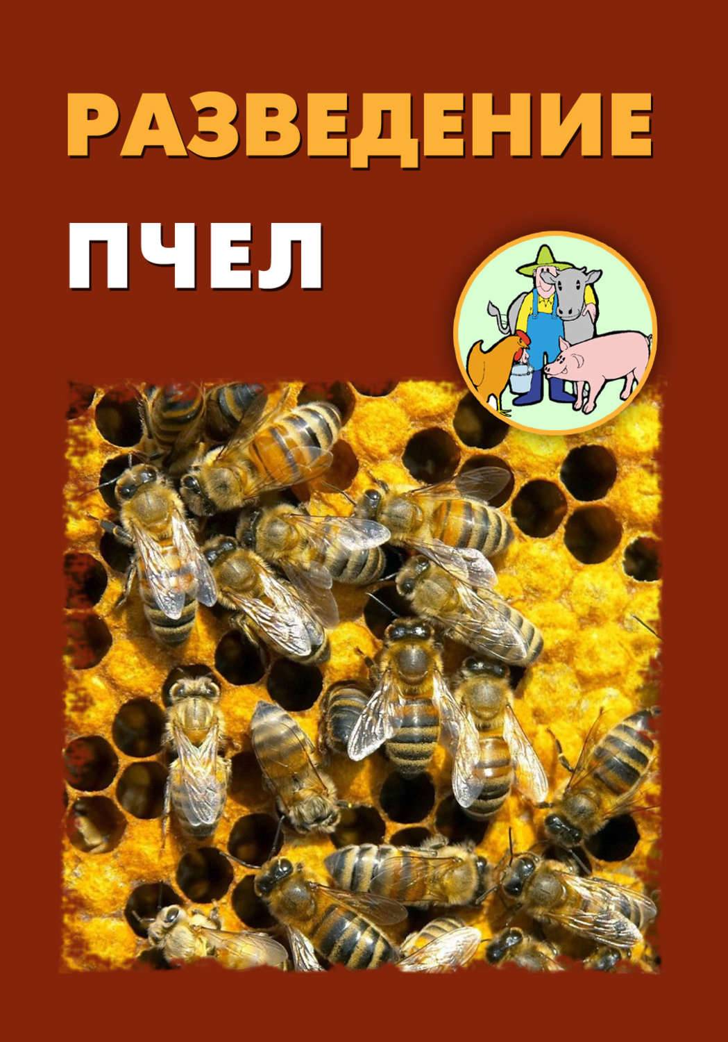 Что такое отводки пчел и как их делать?