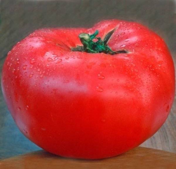 Томат "король рынка": описание сорта, характеристики плодов-помидоров, рекомендации по уходу и выращиванию