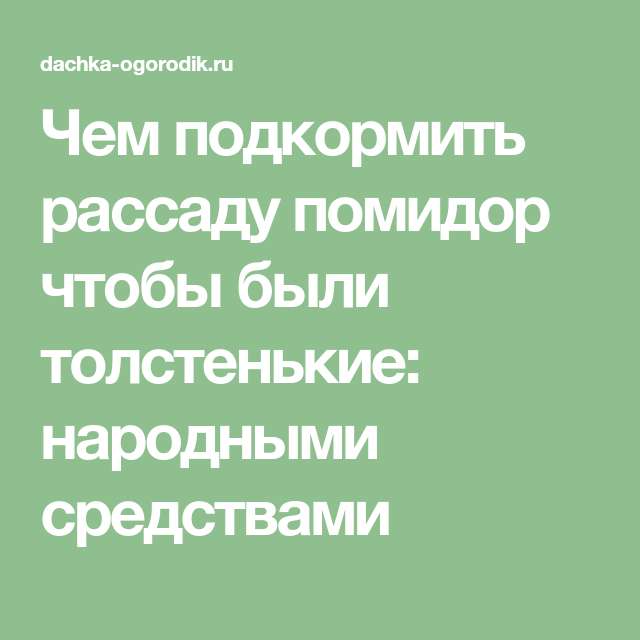 5 видов подкормки для рассады томатов. делаем большой урожай при помощи народных средств