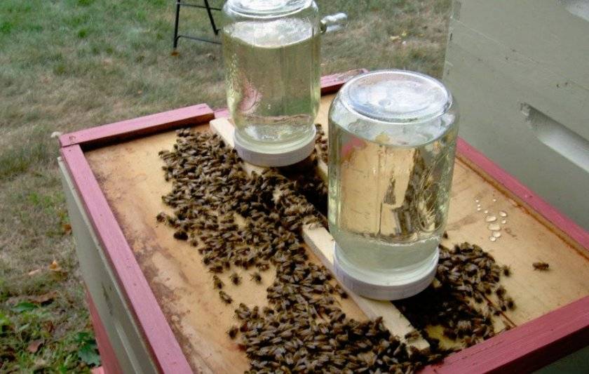 Приготовление сахарного сиропа для пчел