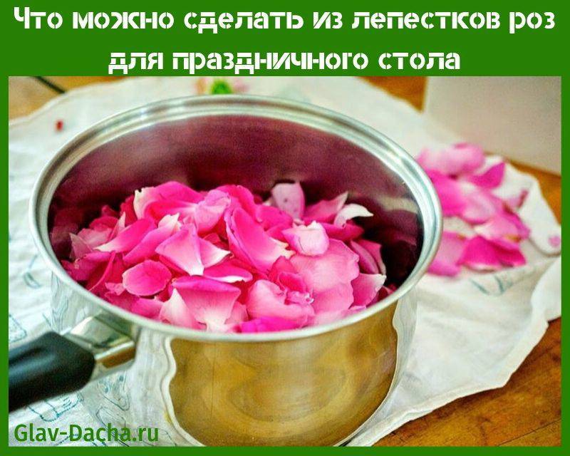 Ванна с лепестками роз – польза и вред. чем полезна ванна с лепестками роз? как сохранить лепестки роз для ванны?