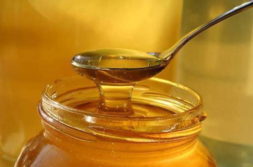 Откачка меда у пчел: инвентарь, время и как качать мед
