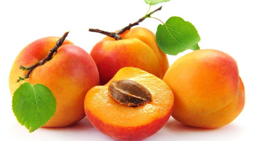 Как правильно посадить абрикос весной: пошаговая инструкция