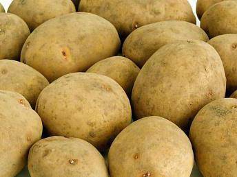 Сорт картофеля «ароза»: характеристика, описание, урожайность, вкусовые качества, отзывы и фото