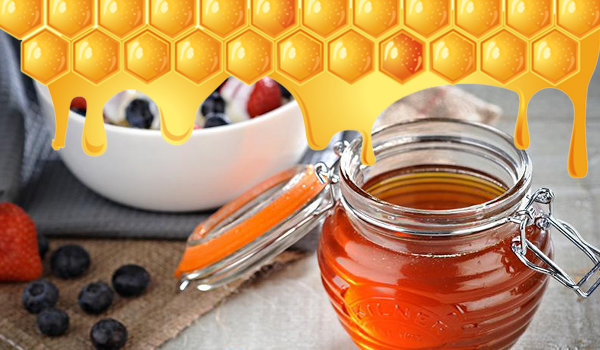 Как хранить мед - правила хранения ценного продукта в домашних условиях