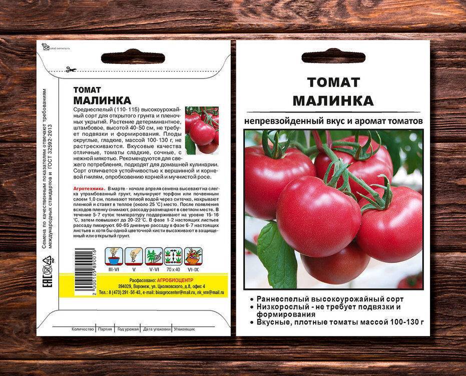 О томате Малинка: описание сорта, характеристики помидоров, агротехника