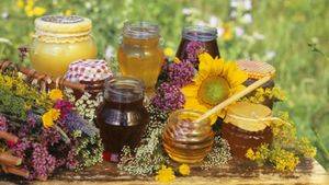 Полезные свойства и противопоказания кориандрового мёда