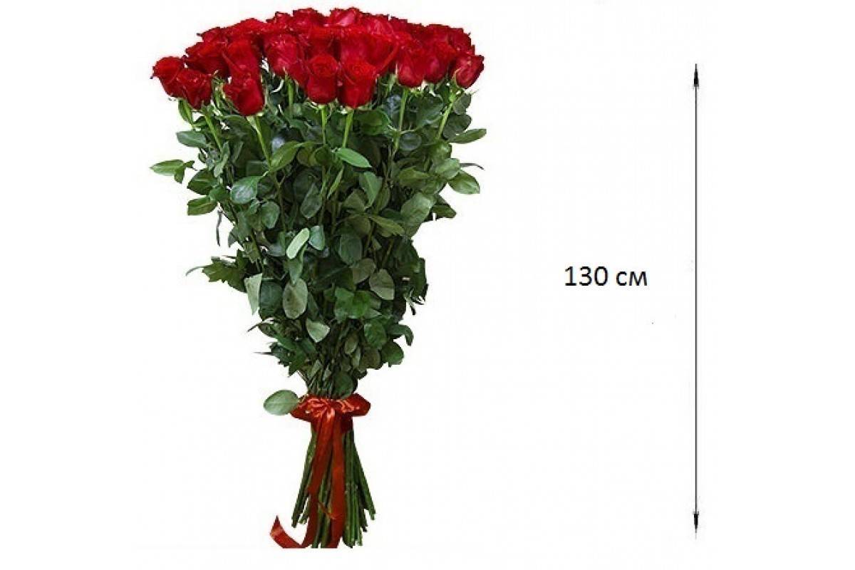 Розы 150 См Купить В Красноярске