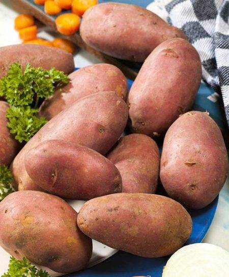 Сорт картофеля «елизавета»: характеристика, описание, урожайность, отзывы и фото