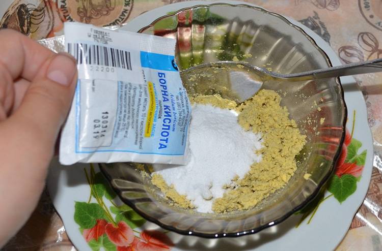 14 способов, как избавиться от муравьев в квартире