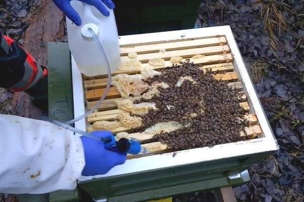 Обработка пчел от клеща варроа | практическое пчеловодство