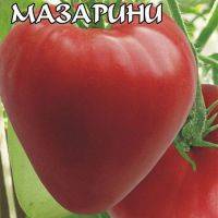 Сорт томата «мазарини»: описание, характеристика, посев на рассаду, подкормка, урожайность, фото, видео и самые распространенные болезни томатов