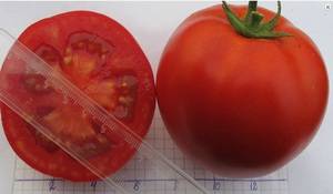 Томат «о-ля-ля-ля»: описание сорта, фото и основные характеристики  помидоры