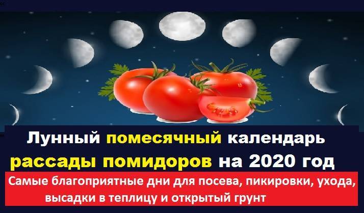 Лунный календарь на март 2020 года для садоводов и огородников подмосковья