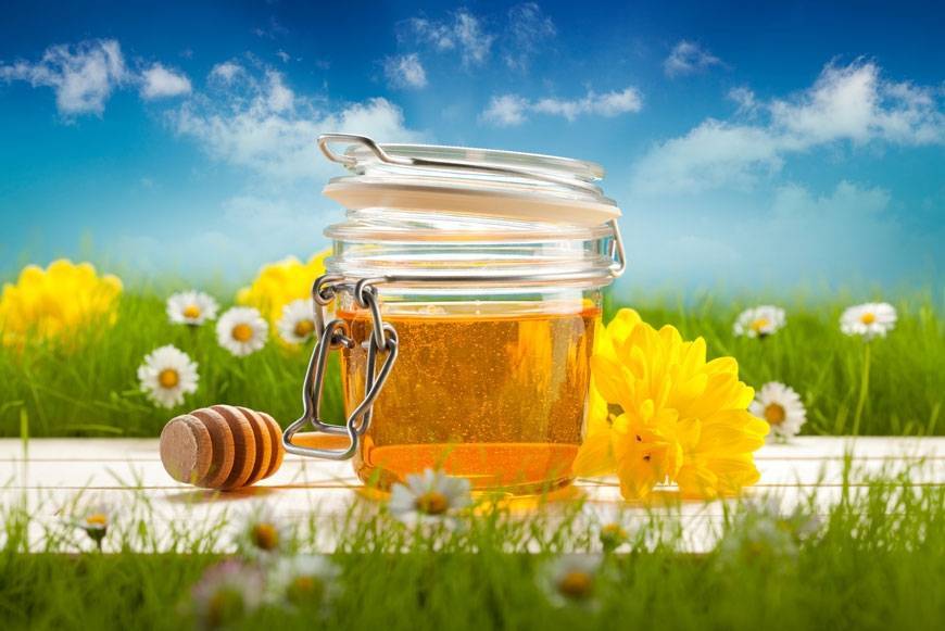 Как отличить липовый мед от подделки. способы определения подделки меда
