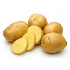 Вкусный гость из голландии — картофель «инноватор» : описание сорта, характеристика