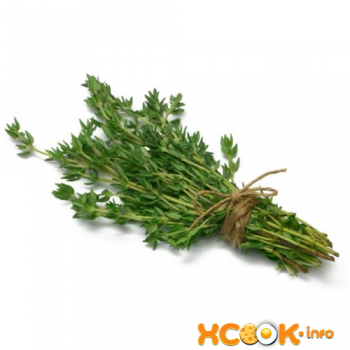Чабрец - полезные свойства и противопоказания травы. польза чабреца для женщин и мужчин