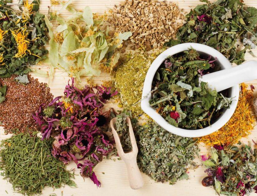 Травы от ожогов - рецепты народной медицины от ожогов: примочки, компрессы, мази из травы и плодов