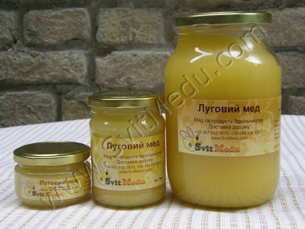 Луговой мед: польза и вред, лечебные свойства и противопоказания