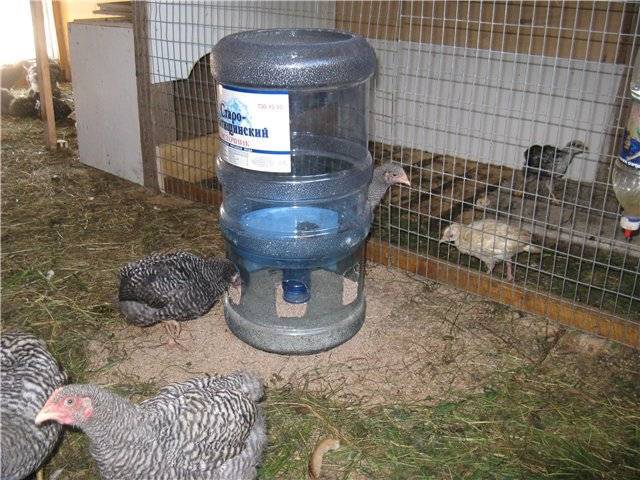 Кормушки для кур из канализационной трубы (24 фото): как сделать ее своими руками из пластиковых и полипропиленовых труб? кормушки для цыплят- бройлеров из пвх