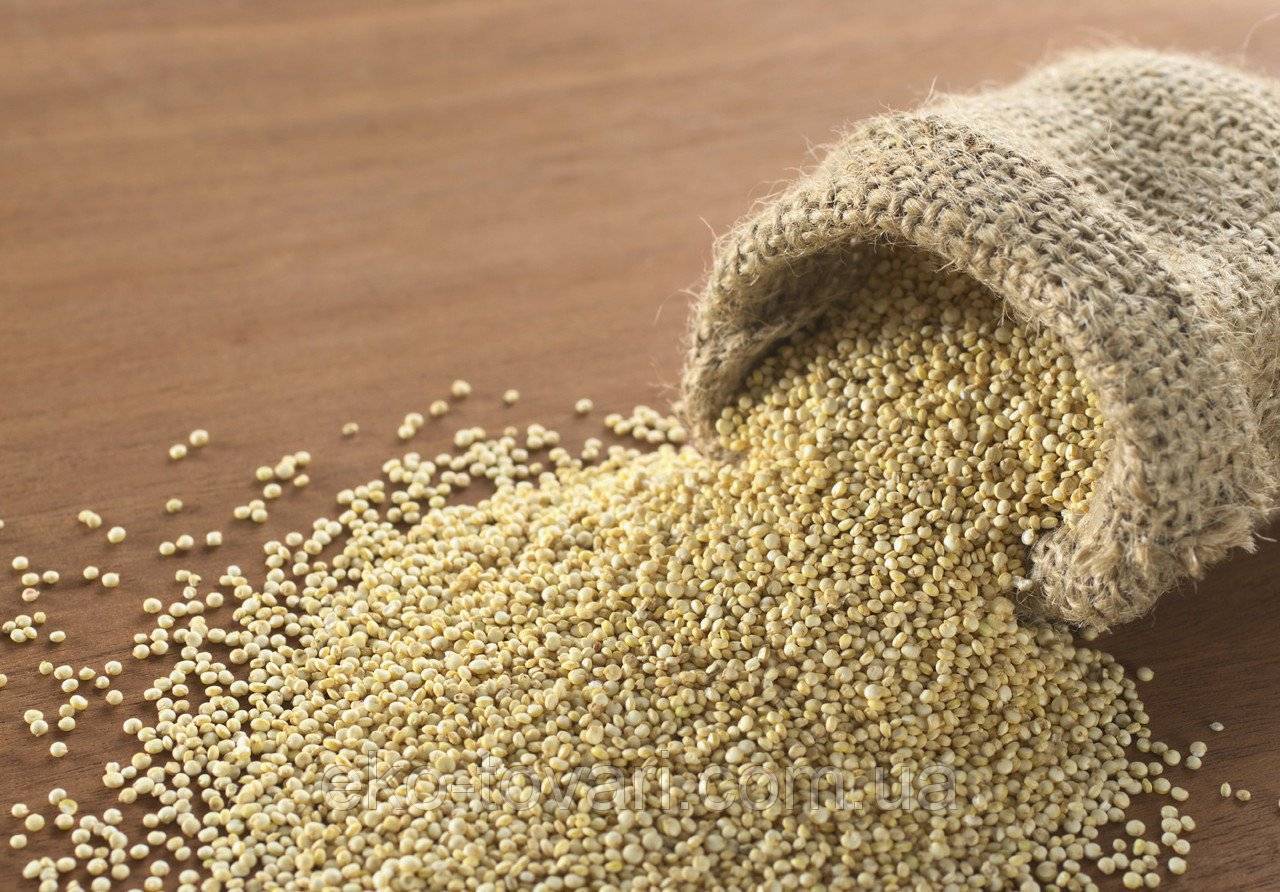 Все о семенах амаранта: полезные свойства, где и как применять, можно ли кушать