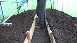 Правила применения медного купороса в садоводстве весной, летом и осенью, инструкция