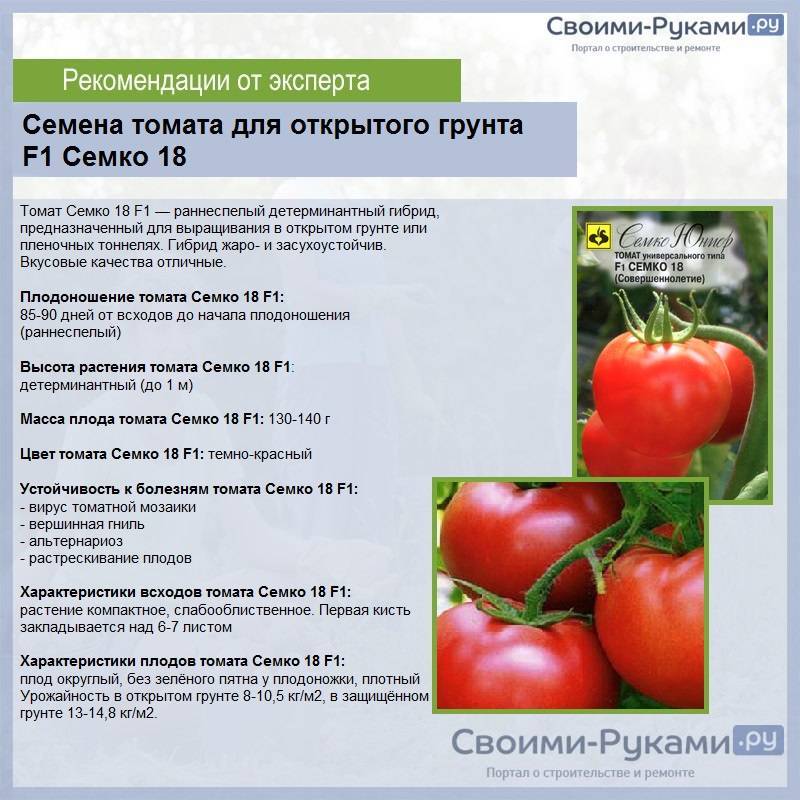 Томат микадо сибирико: отзывы, фото, урожайность | tomatland.ru