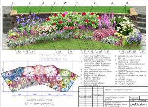 О клумбе из многолетников непрерывного цветения: схема посадки и описание