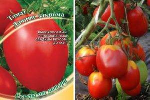 Томат персей: описание и характеристика сорта, отзывы, фото, урожайность | tomatland.ru