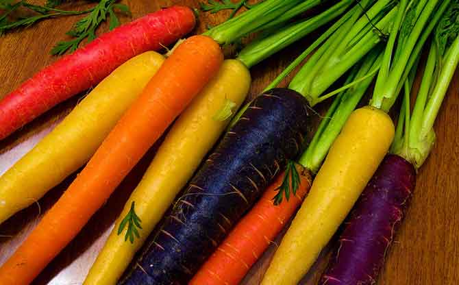 Семена моркови лучшие сорта для открытого грунта