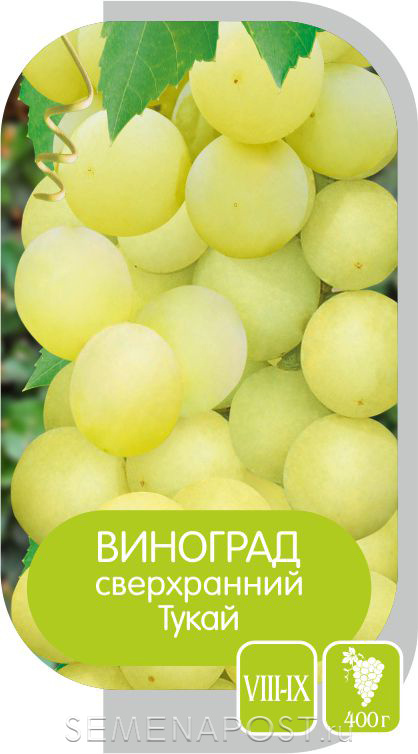 Сорта винограда для выращивания в сибири