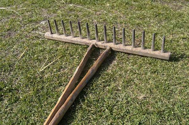 О граблях для сена: как сделать деревянные грабли для сенокоса своими руками