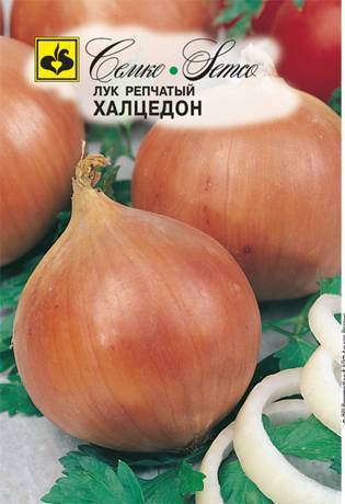 Молдавский лук халцедон: способы выращивания, уход и сбор урожая