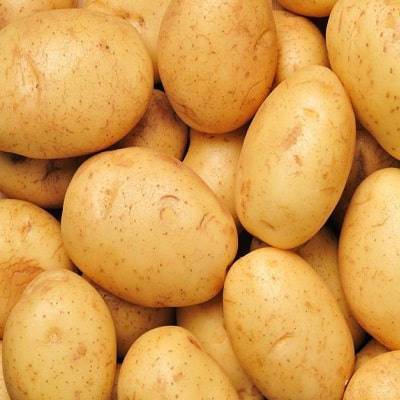 Сорт картофеля «артемис»: характеристика, описание, урожайность, отзывы и фото