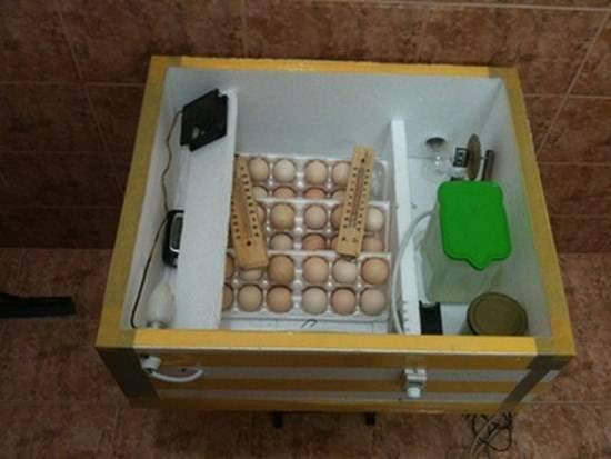 Инкубатор своими руками: как сделать для яиц из холодильника с терморегулятором, схемы, чертежи, фото и видео, изготовление для успешного птицеводства
