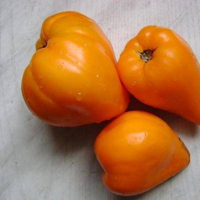 Томат "медовое сердце" f1: описание сорта, характеристики плодов-помидор, фото материалы и рекомендации по выращиванию