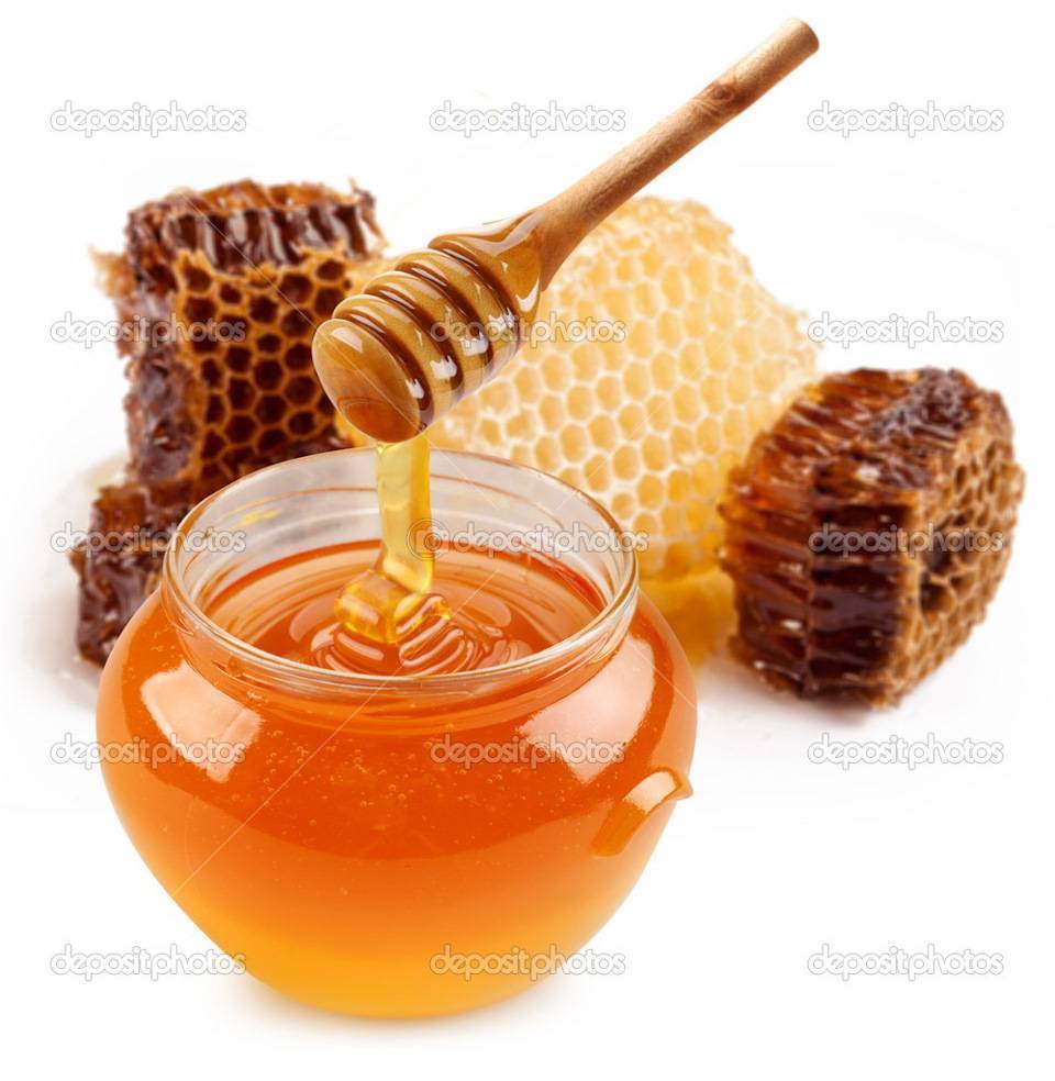 Как пчела делает мед: как собирают нектар, процесс образование меда
