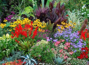 Растения весенних цветников и их названия (48 фото) — какие цветы часто встречаются, несколько схем посадки
