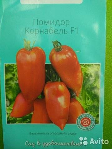 О томате Корнабель: описание сорта, характеристики помидоров, посев