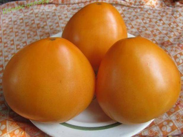 Томат "медовое сердце" f1: описание сорта, характеристики плодов-помидор, фото материалы и рекомендации по выращиванию