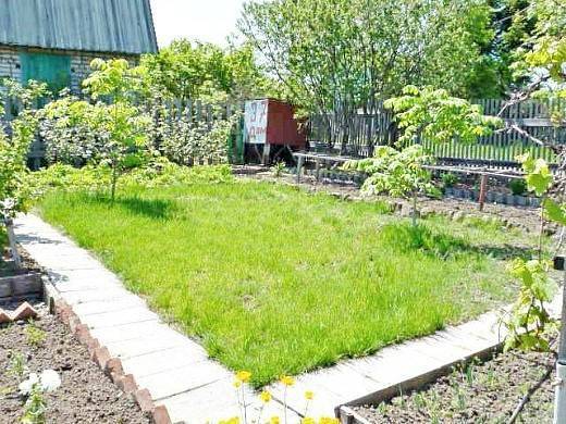 Пошаговая любительская инструкция: как сажать и ухаживать за зеленью в огороде