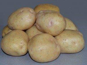 Лучшие сорта картошки для подмосковья