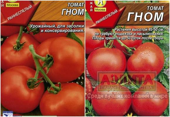 Характеристика и описание сортов томатов серии гном томатный, его урожайность - общая информация - 2020