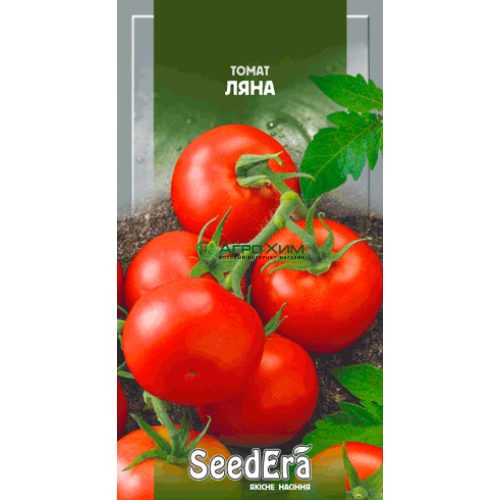 Томат ляна