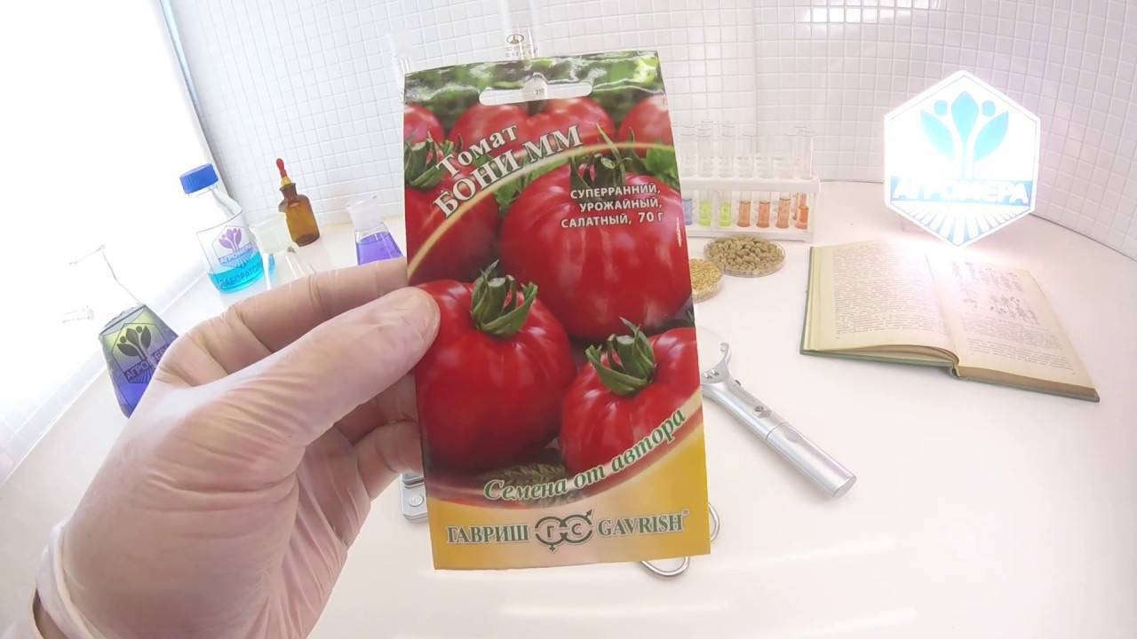 Сорт помидора «бони мм»: фото, отзывы, описание, характеристика, урожайность