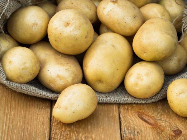 Сорт картошки скарб: описание сорта, полезные свойства, отзывы