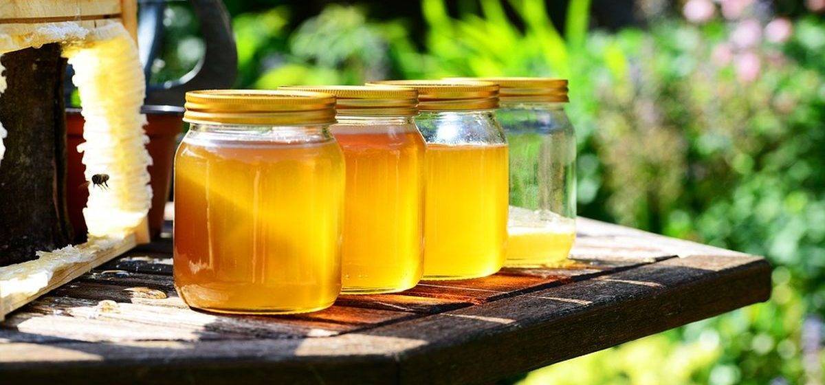 О растопке меда: как правильно растопить засахарившийся мед в стеклянной банке