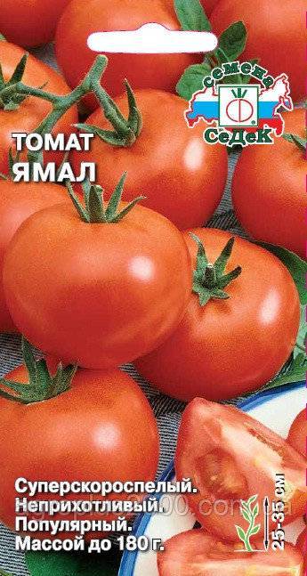 Низкорослые томаты – самые урожайные сорта